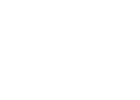 Asahi Group Holdings