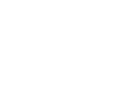 ＬＥＮＺ ＤＸ